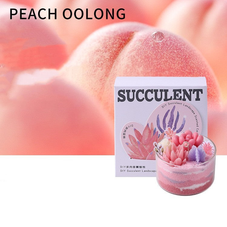 Aromatherapy Candle Succulent Plant Cactus