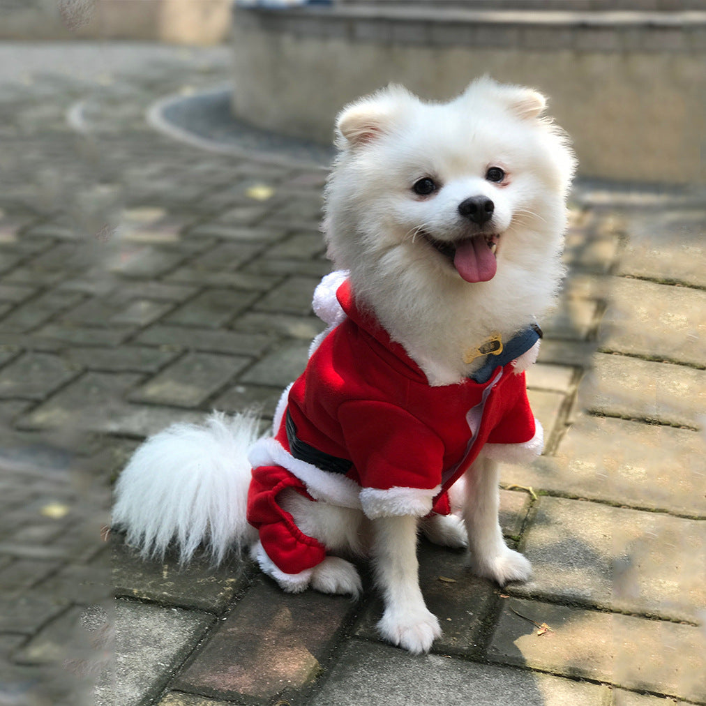 Santa Suit For Pets