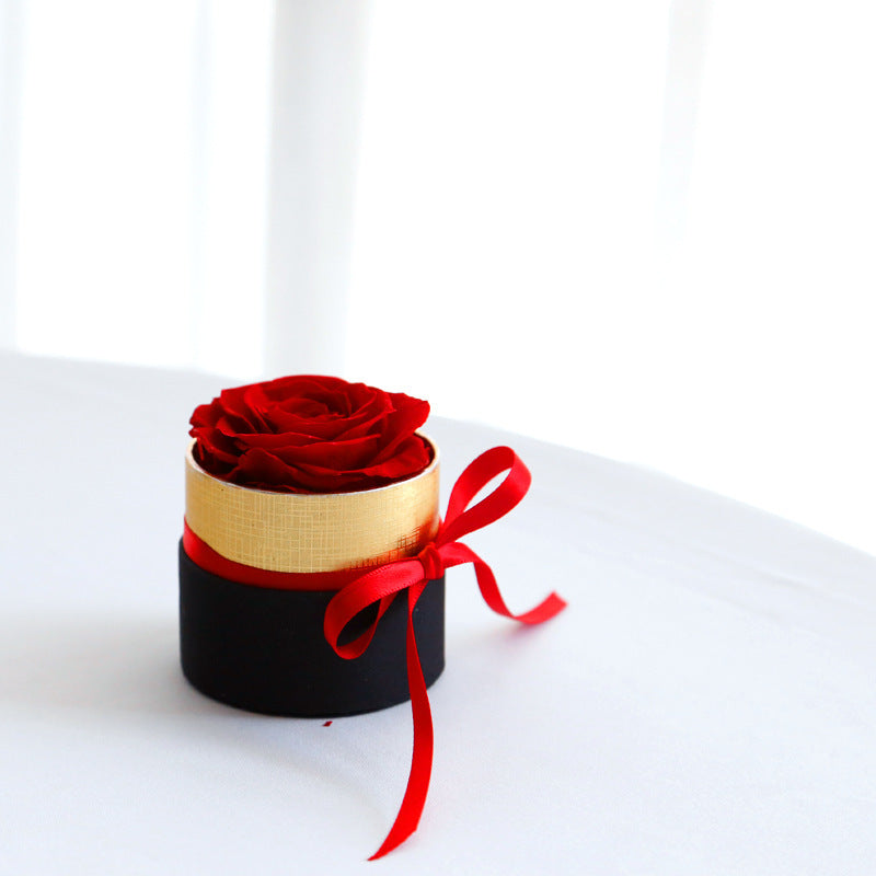 Preserved Eternal Roses Box Set