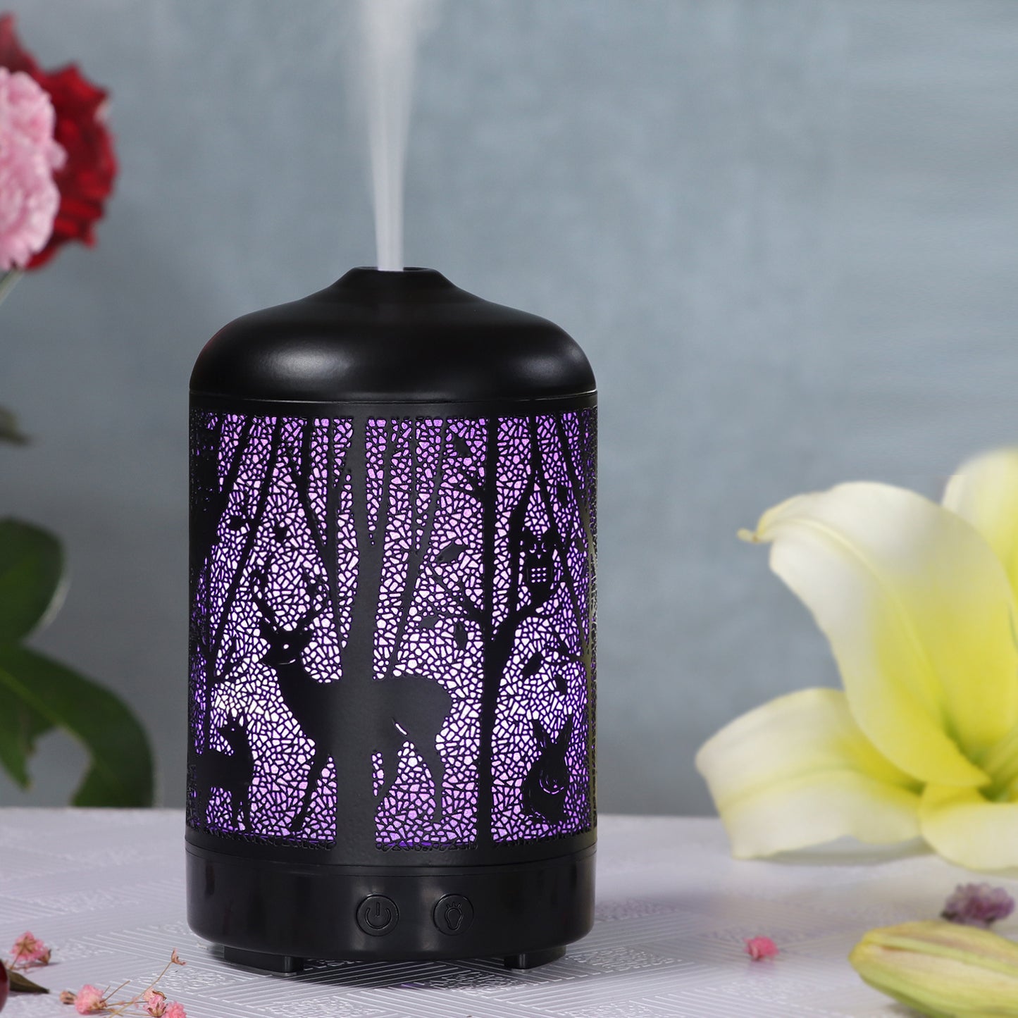Hollow Pervious Aroma Diffuser