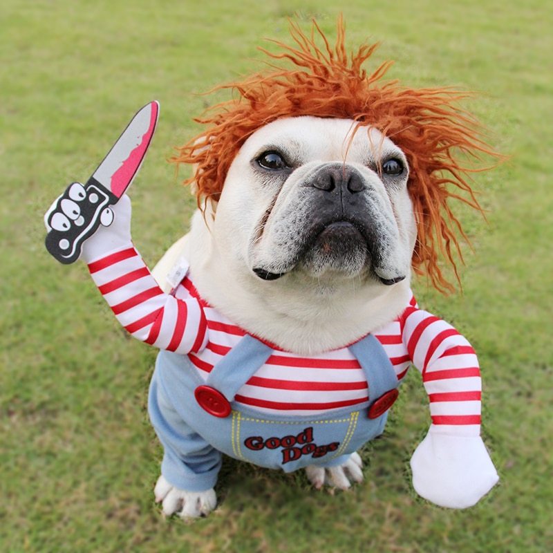 Halloween Pet Dog Costume