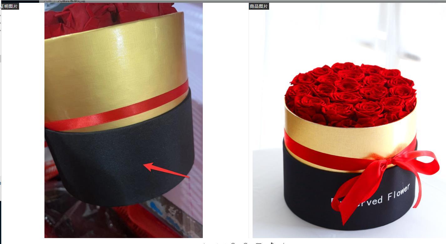 Preserved Eternal Roses Box Set