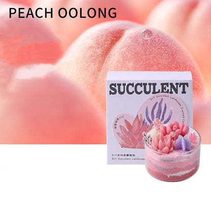 Aromatherapy Candle Succulent Plant Cactus