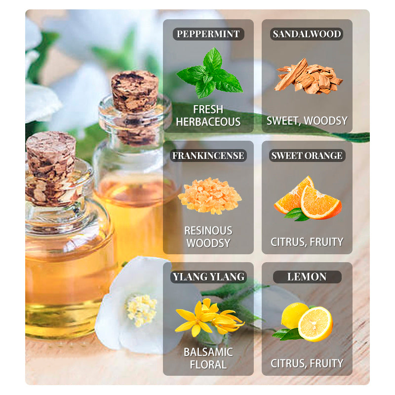 Aromatherapy Essential Oils - 10ml