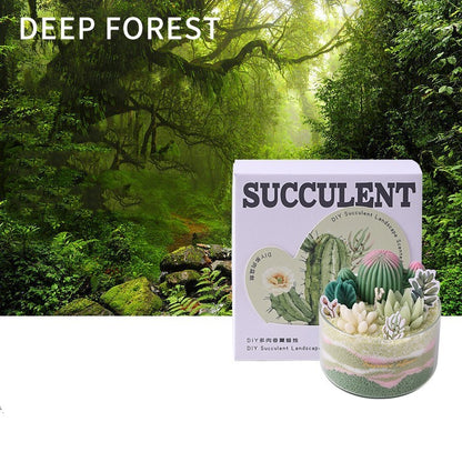 Aromatherapy Candle Succulent Plant Cactus