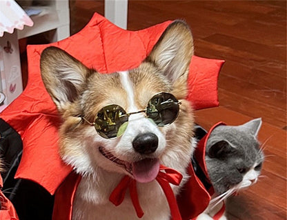 Halloween Pet Cape Costume - Vampire King