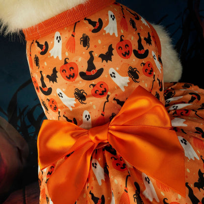 Halloween Party Dress for Pets