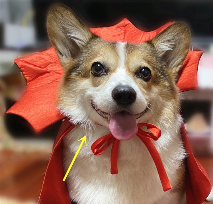 Halloween Pet Cape Costume - Vampire King