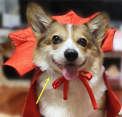 Halloween Pet Cape Costume - Vampire King